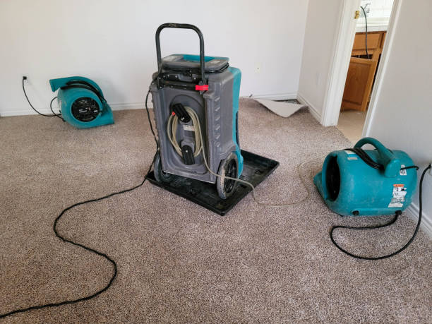 24/7 water damage repair in TX