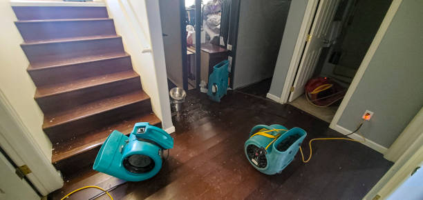 Best Carpet water damage restoration  in Jonestown, TX