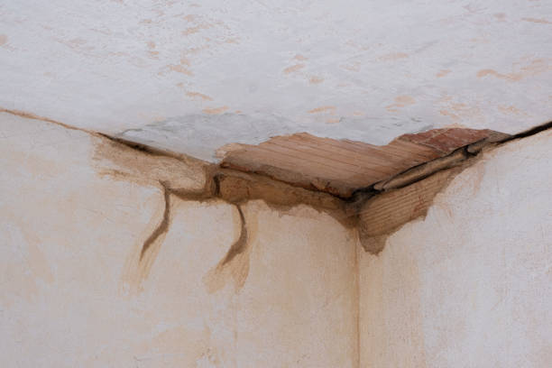 Best Mold removal after water damage  in Jonestown, TX