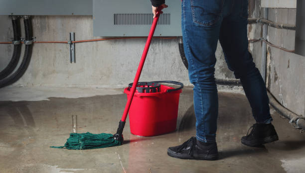 Best Fire Damage Restoration  in Jonestown, TX