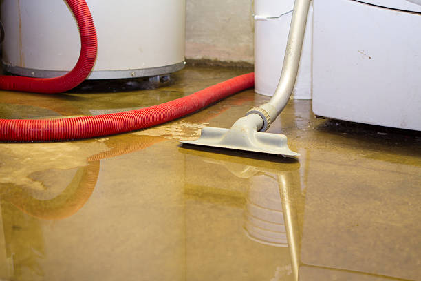 Best 24/7 water damage repair  in Jonestown, TX