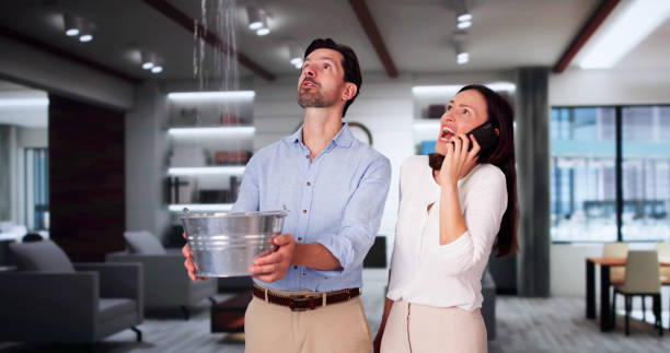 Best Basement water damage restoration  in Jonestown, TX